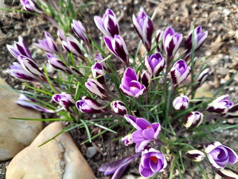  - 1 2024 Din nou cu natura impreuna !