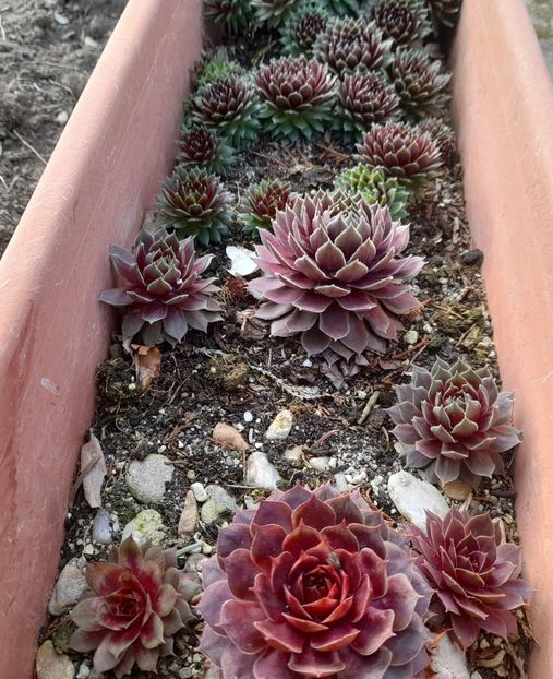  - 1 2024 Din nou cu natura impreuna !