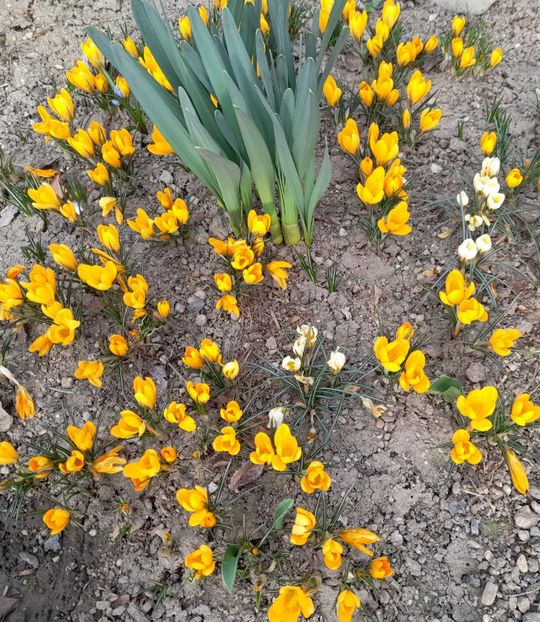  - 1 2024 Din nou cu natura impreuna !