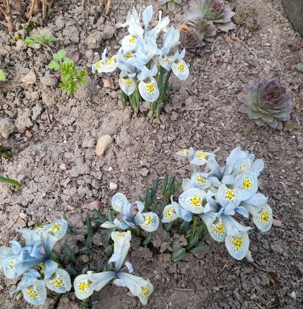  - 1 2024 Din nou cu natura impreuna !