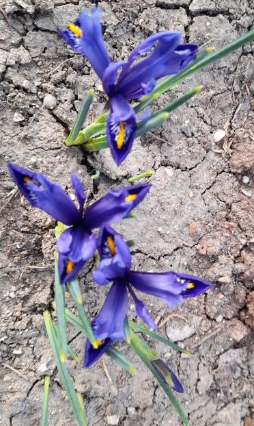  - 1 2024 Din nou cu natura impreuna !