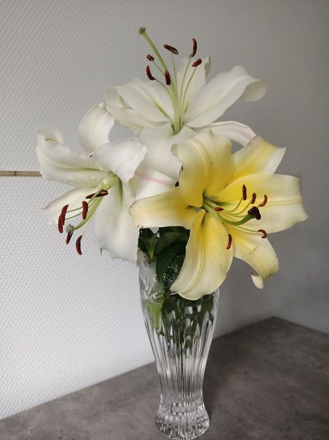 Img.2023.07.18 - Achiziții 2023