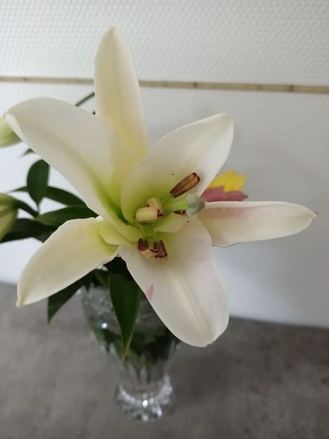 Img.2023.07.16 - Achiziții 2023