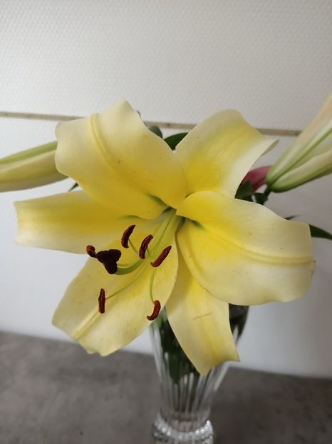 Img.2023.07.16 - Achiziții 2023