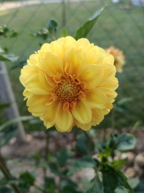 Img.2023.07.08 - Achiziții 2023