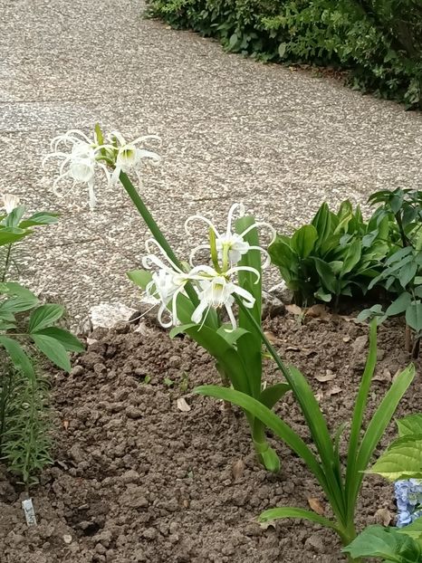 Img.2023.07.03 - Achiziții 2023