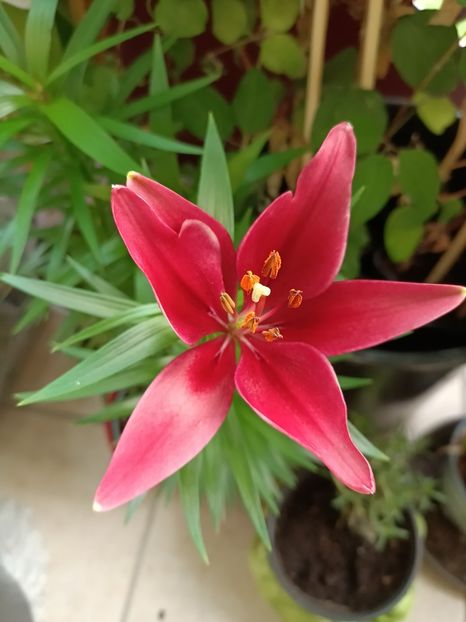 Img.2023.07.02 - Achiziții 2023