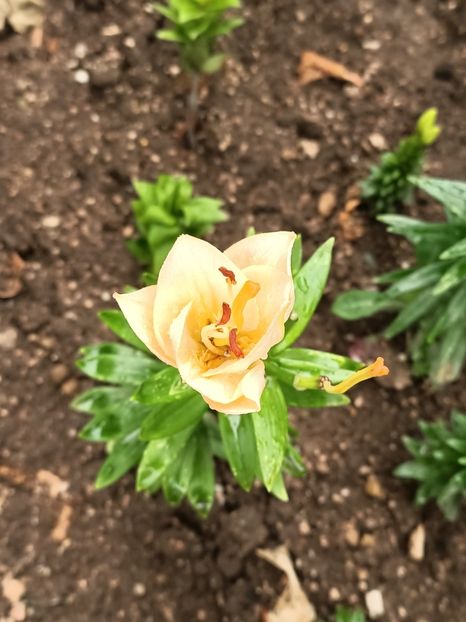 Img.2023.07.01 - Achiziții 2023