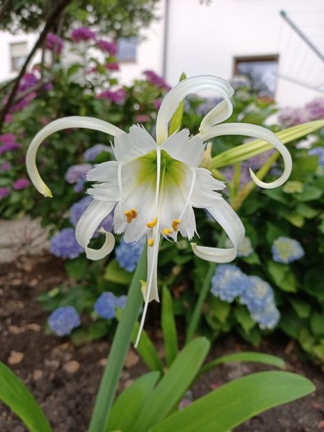 Img.2023.06.30 - Achiziții 2023