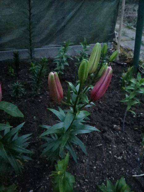 Img.2023.06.23 - Achiziții 2023