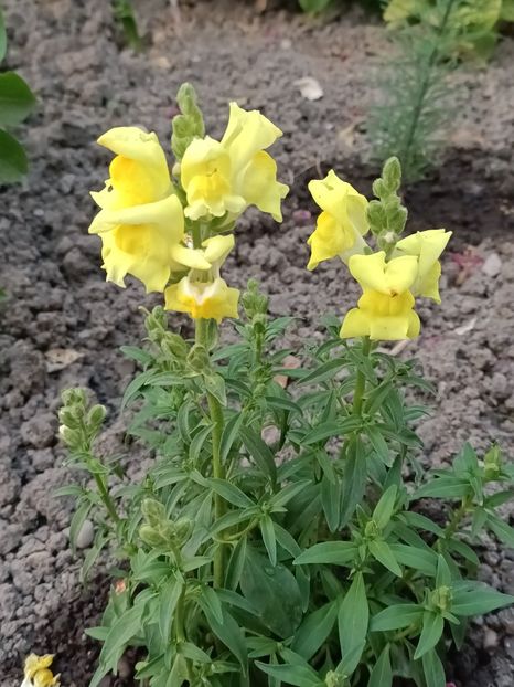 Img.2023.06.17 - Achiziții 2023