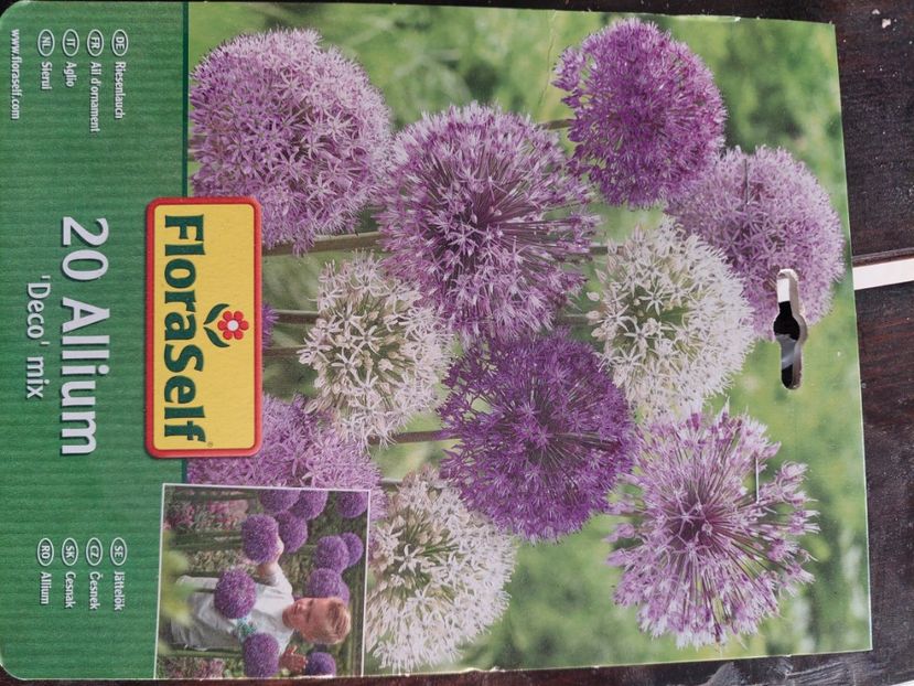 Hornbach - aaa Comanda plante 2022 2023 2024