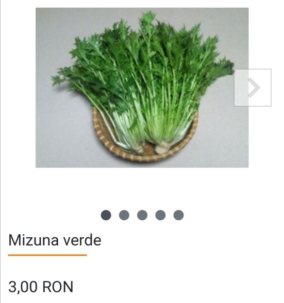 Screenshot_20240306_135439 - aaa Comanda plante 2022 2023 2024