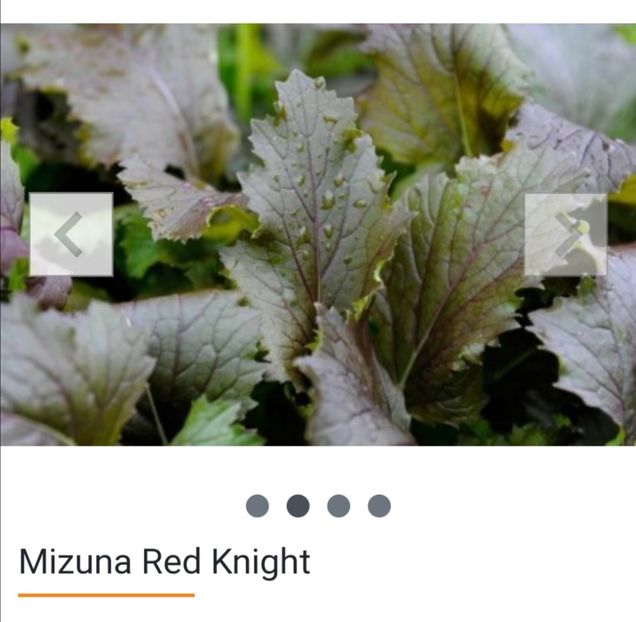 Screenshot_20240306_135542 - aaa Comanda plante 2022 2023 2024