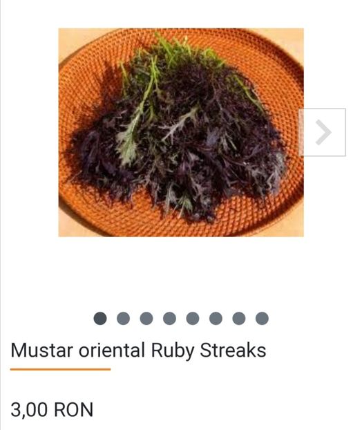 Screenshot_20240306_140142 - aaa Comanda plante 2022 2023 2024