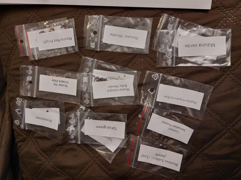 Semințe - aaa Comanda plante 2022 2023 2024