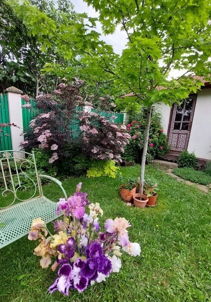  - 2023 mai continuare