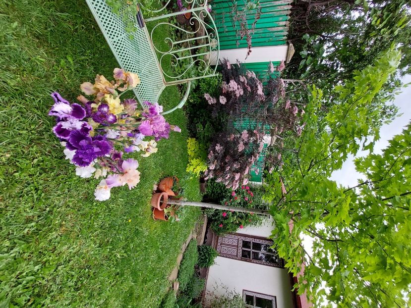  - 2023 mai continuare