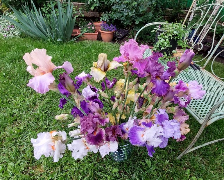  - 2023 mai continuare