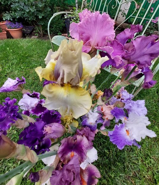  - 2023 mai continuare