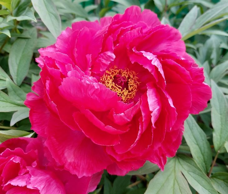  - 2023 mai continuare