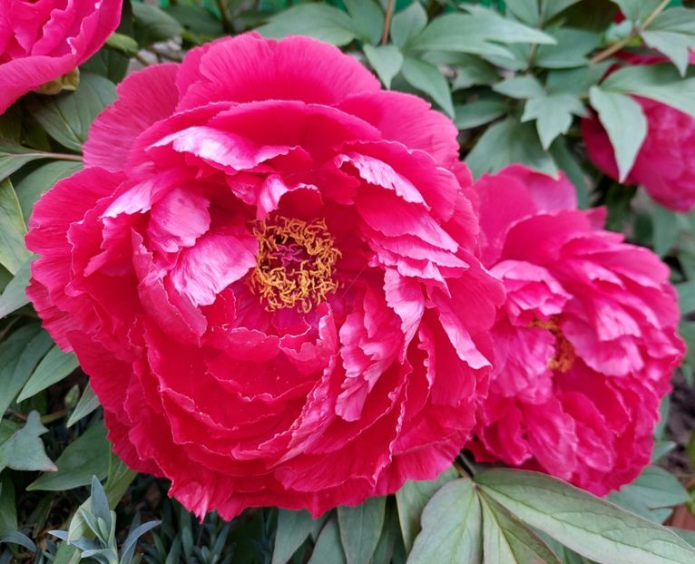  - 2023 mai continuare