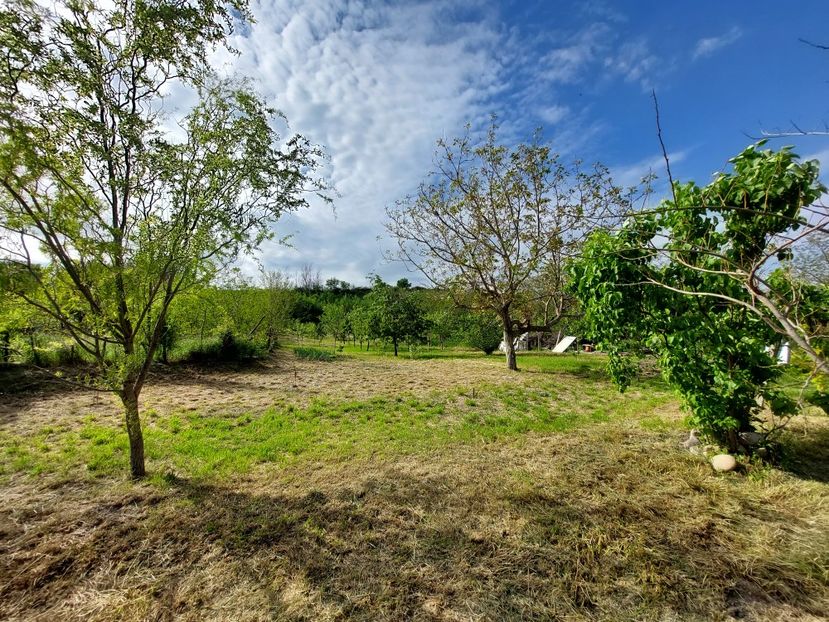  - 2023 mai continuare