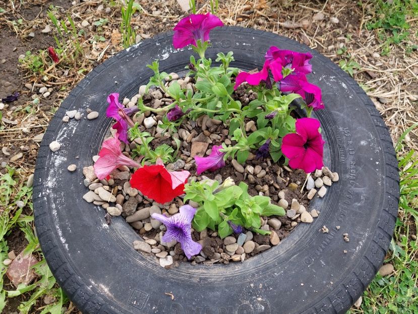  - 2023 mai continuare