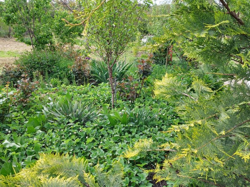  - 2023 mai continuare