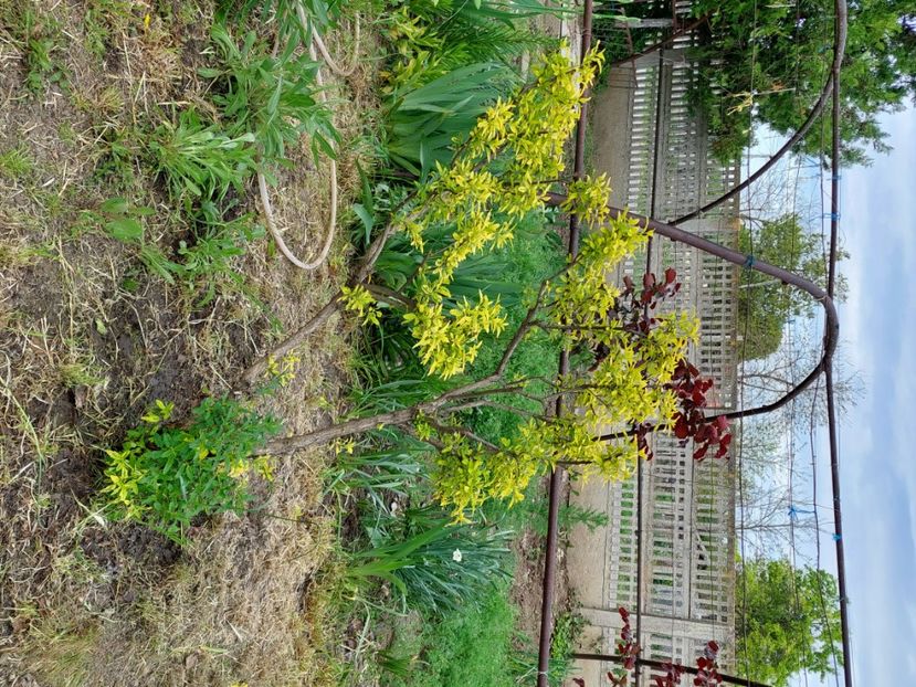  - 2023 mai continuare