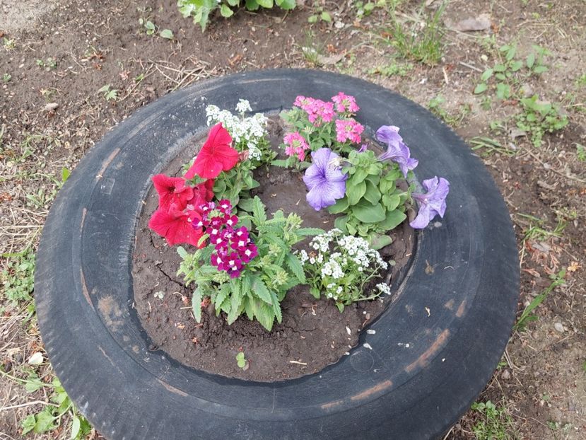  - 2023 mai continuare