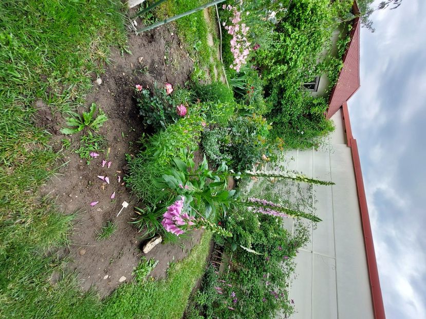  - 2023 mai continuare