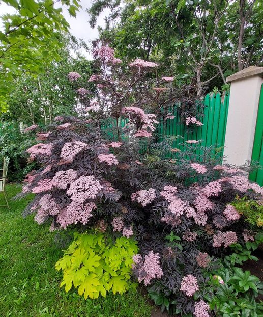  - 2023 mai continuare