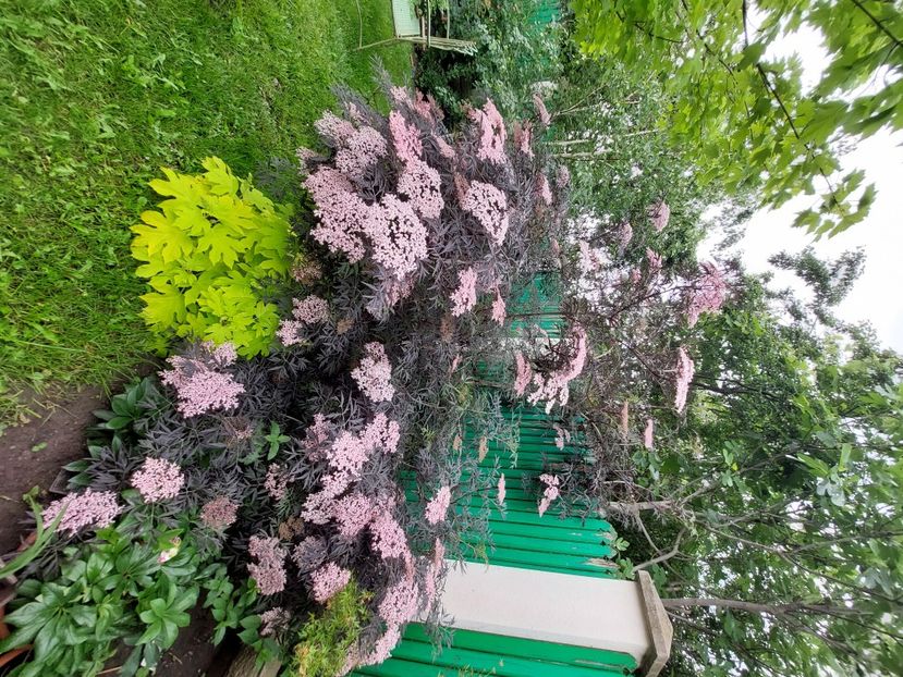  - 2023 mai continuare