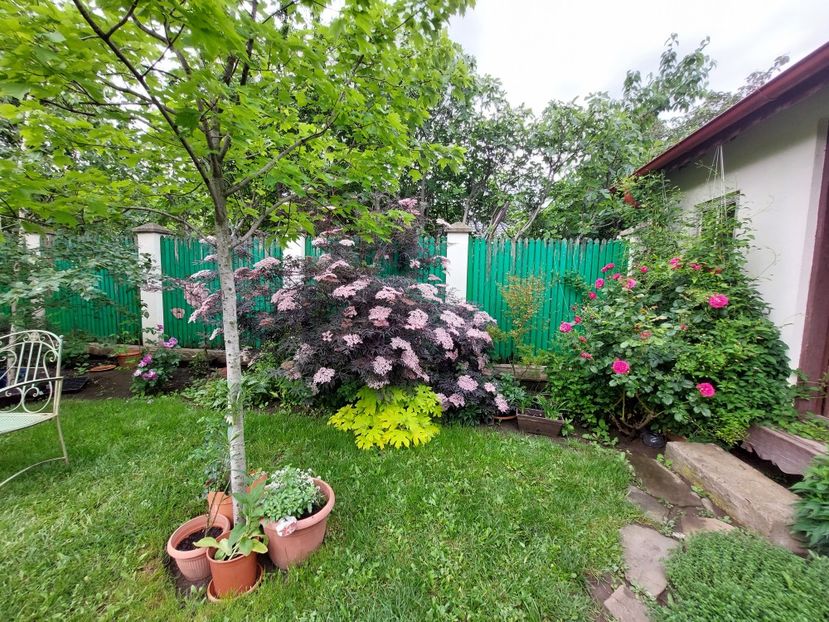  - 2023 mai continuare