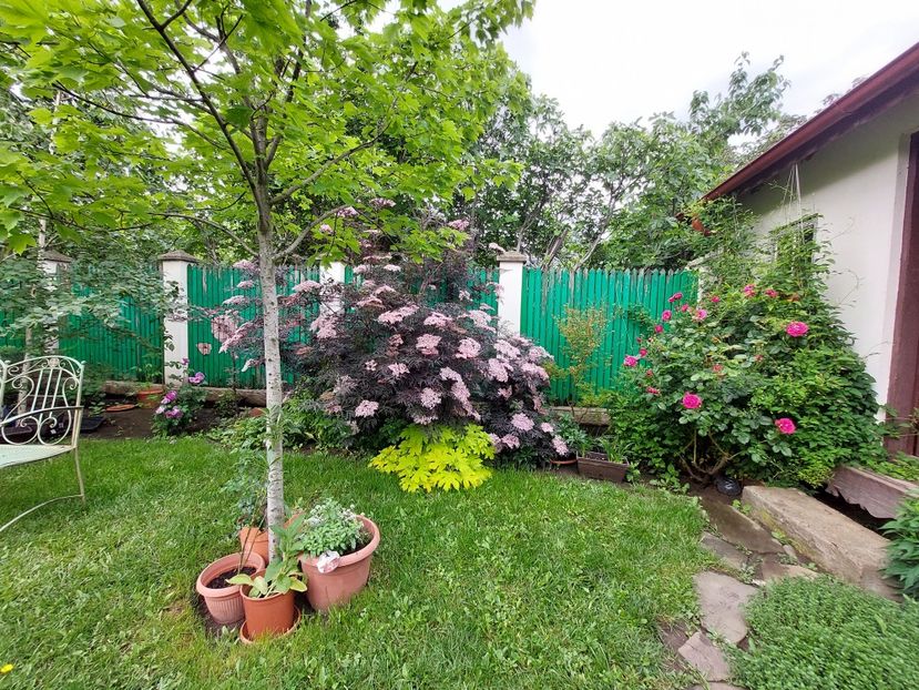  - 2023 mai continuare