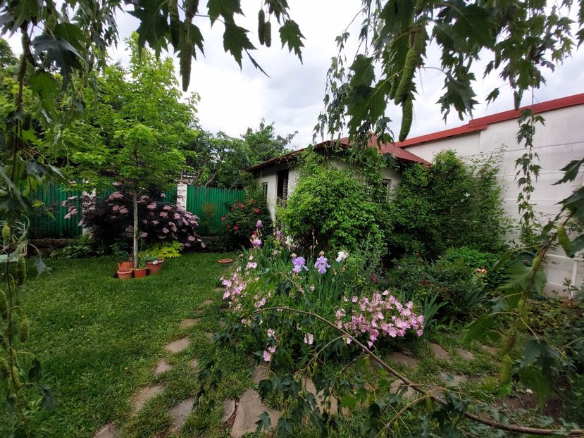  - 2023 mai continuare