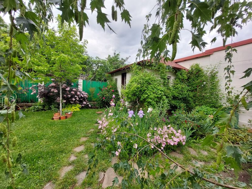  - 2023 mai continuare