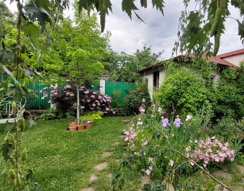  - 2023 mai continuare