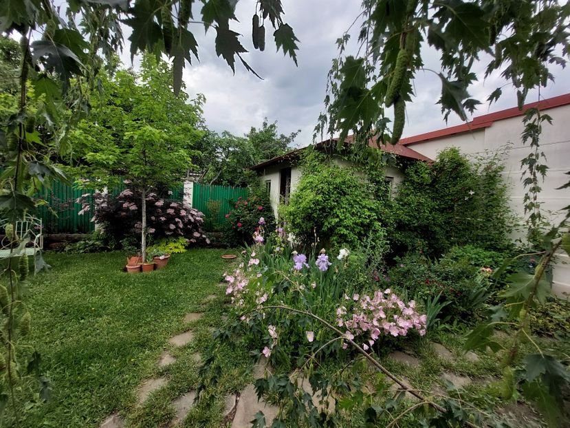  - 2023 mai continuare