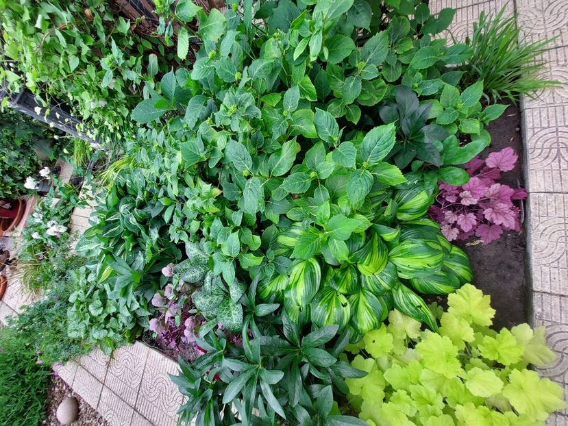  - 2023 mai continuare