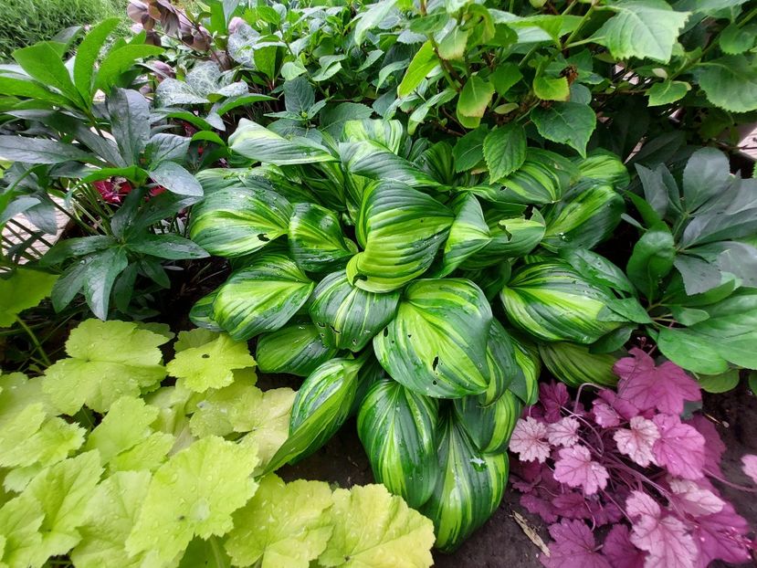  - 2023 mai continuare