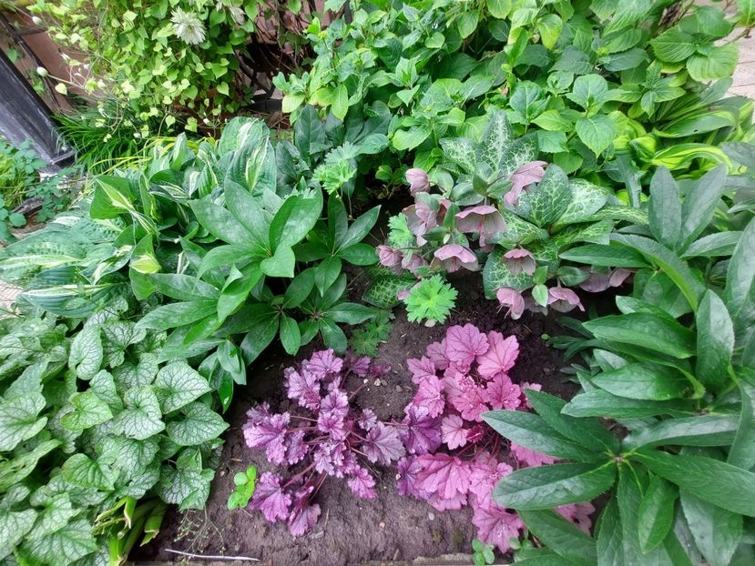  - 2023 mai continuare