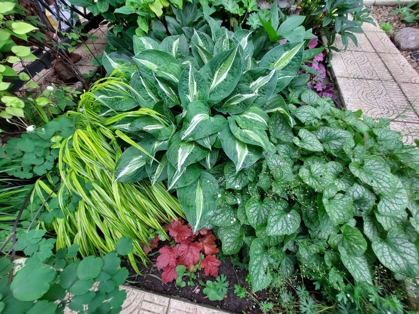  - 2023 mai continuare