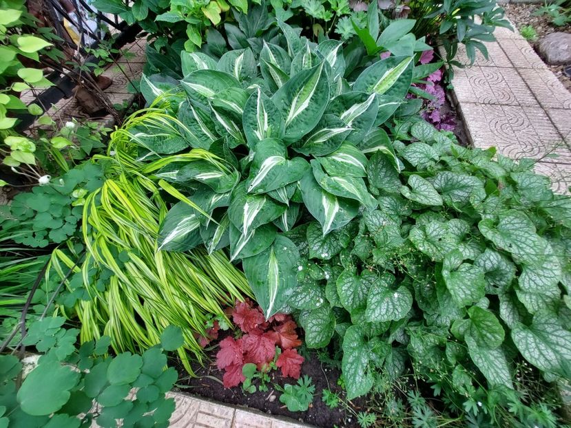  - 2023 mai continuare