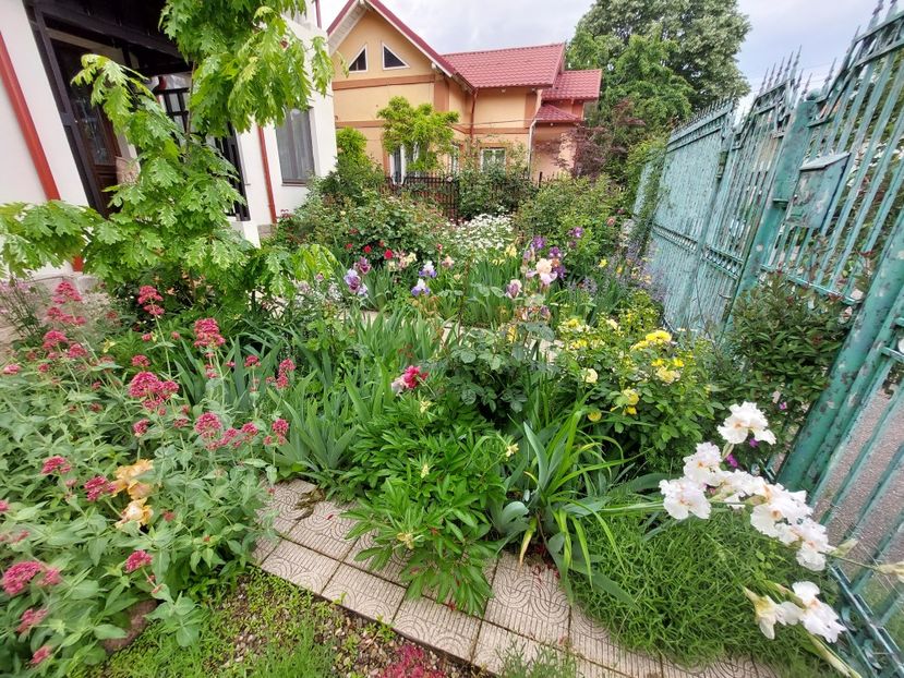  - 2023 mai continuare