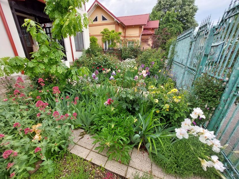  - 2023 mai continuare