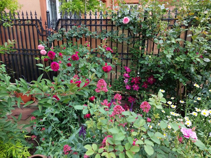  - 2023 mai continuare