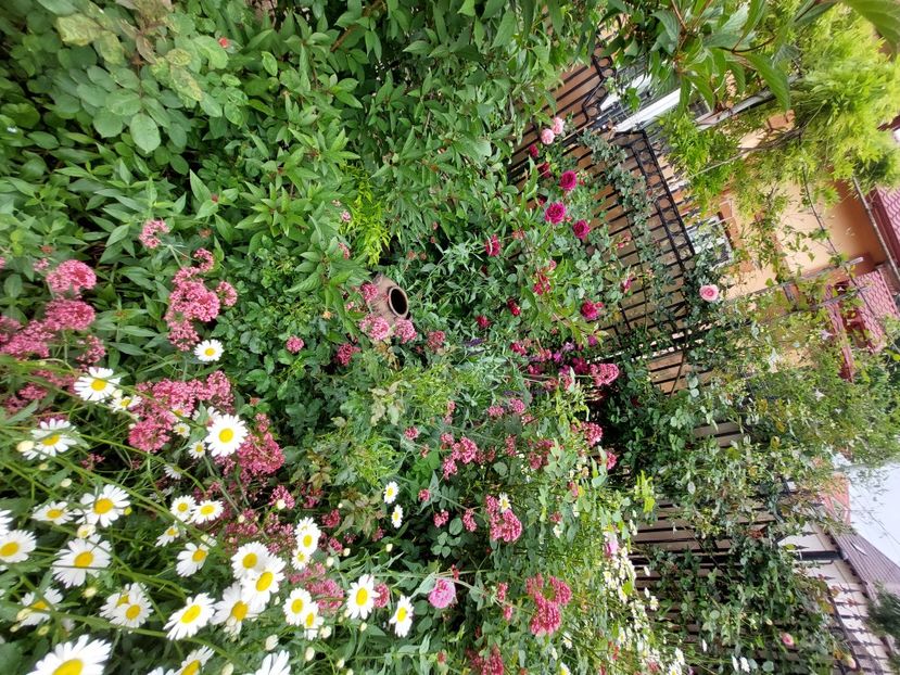  - 2023 mai continuare