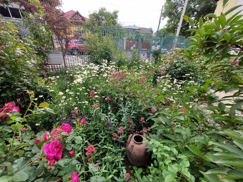  - 2023 mai continuare